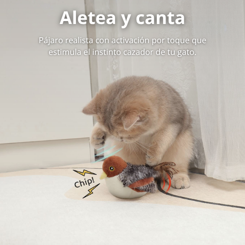 Pájaro Afloria - Juguete Interactivo para Gatos.